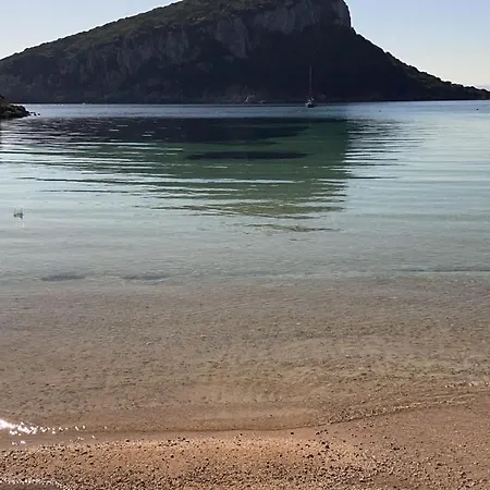 Domus De Diana 3* Ольбия