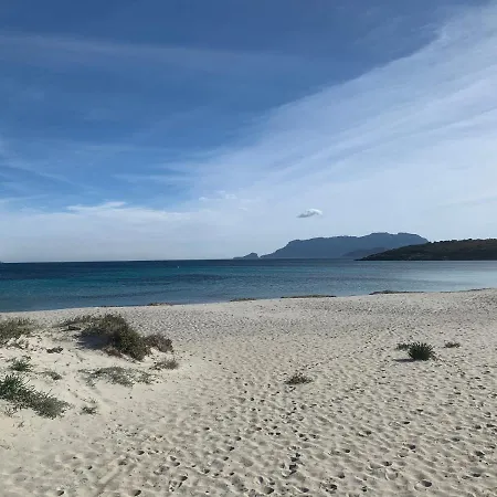 Domus De Diana Ольбия