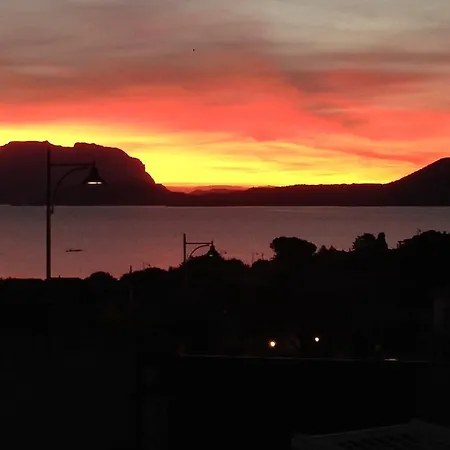 Domus De Diana Ольбия