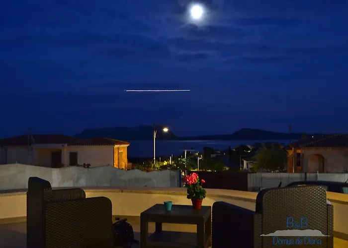 Domus De Diana Ольбія