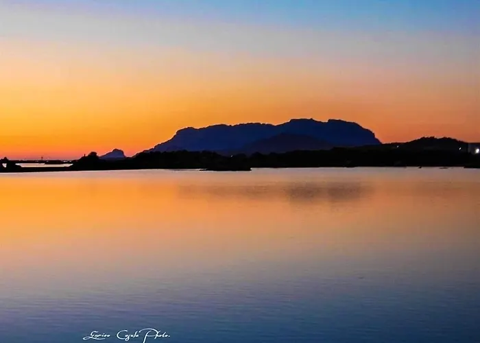 Domus De Diana 3* Ольбія