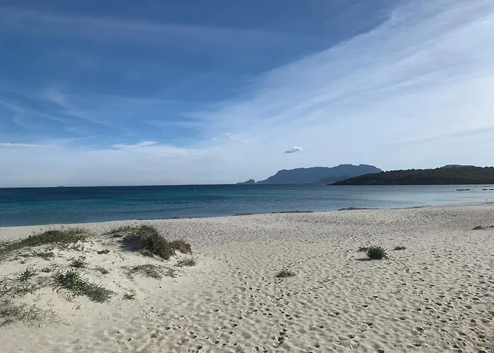 Domus De Diana Ольбія