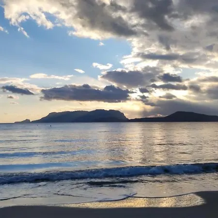 黛安娜之家住宿加早餐酒店 住宿加早餐酒店