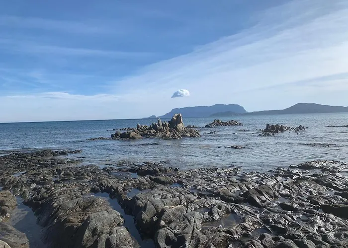 Domus De Diana Frühstückspension Olbia