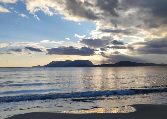 Domus De Diana Frühstückspension