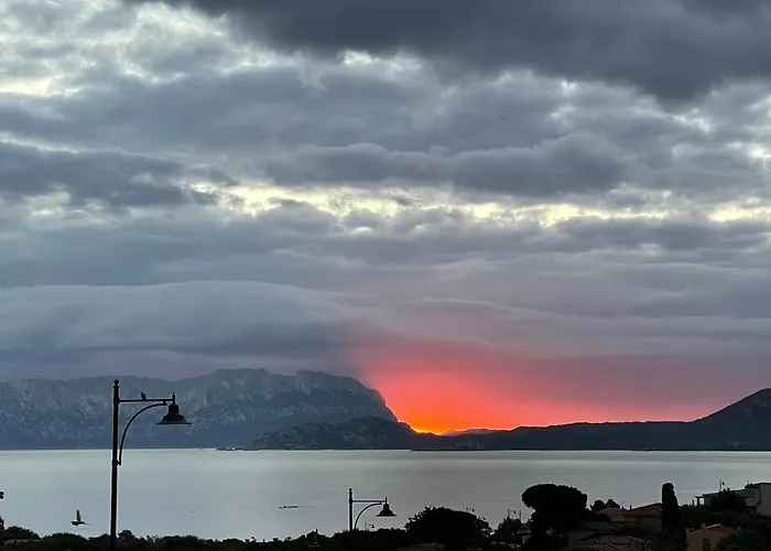 Alojamento de Acomodação e Pequeno-almoço Domus De Diana Olbia